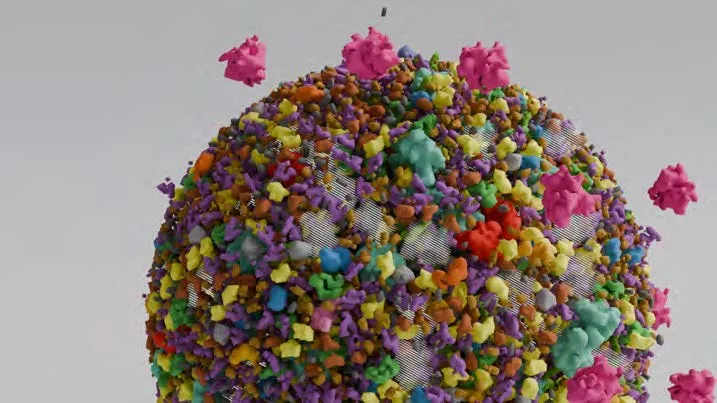 Representing Uncertainty in a Multiscale View of the Cell